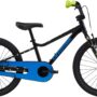 Велосипед 20" Cannondale TRAIL SS OS 2025 BPL