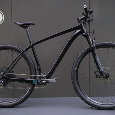 Велосипед гірський карбоновий Rose Psycho Path 1 SX