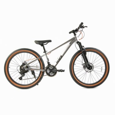 Велосипед дитячий RoyalBaby 24" KING-PLUS 21 SPEED, OFFICIAL UA, Silver